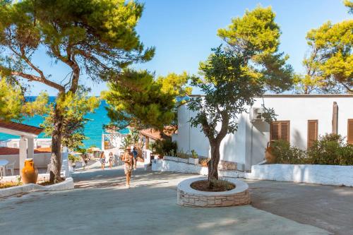 Κήπος έξω από το Sfinal Residence