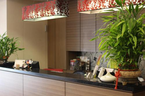 a counter with potted plants on top of it at Home Full Hotel in Jincheng