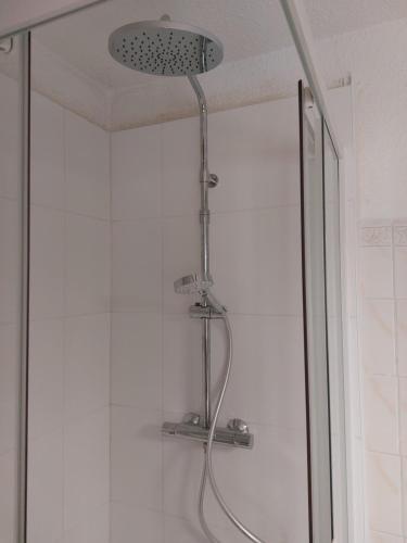une douche avec pommeau de douche dans une salle de bain dans l'établissement appartement, à Saint-Cyprien