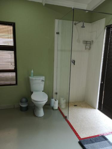 a bathroom with a shower and a toilet in a room at Crimson Bush Lodge in Klipdrift