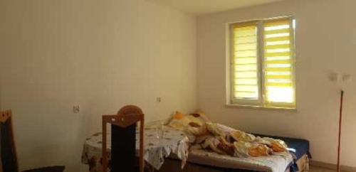 a bedroom with a bed and a window at Noclegi u Dorki in Kurzętnik