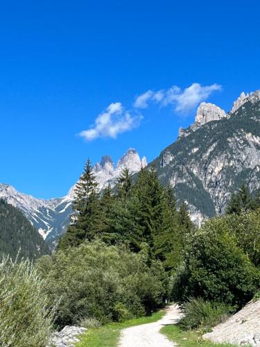 un camino de tierra con árboles y montañas en el fondo en Ciasa Giulia en Auronzo di Cadore