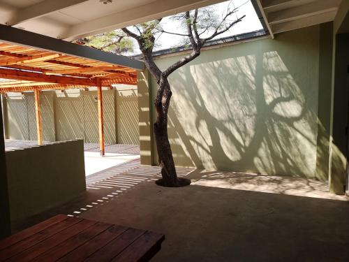 a shadow of a tree on the side of a building at Crimson Bush Lodge in Klipdrift
