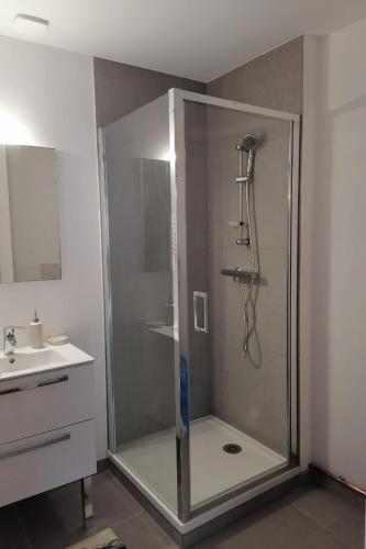 une salle de bain avec douche et lavabo dans l'établissement Gîtes chez Sylvie, à Arreau