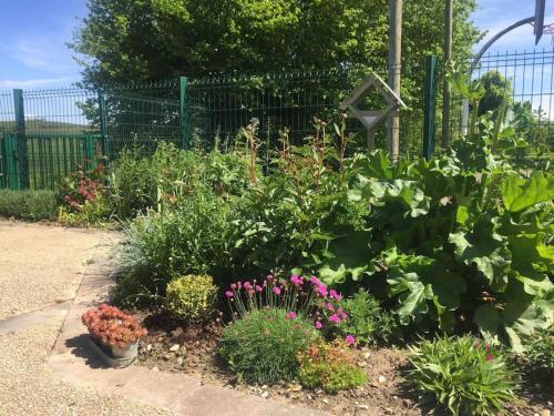 einen Garten mit Blumen und Pflanzen vor einem Zaun in der Unterkunft Petite maison de caractère in Parey-sous-Montfort