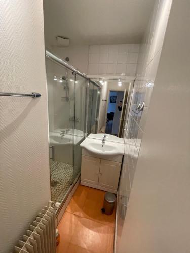 Kúpeľňa v ubytovaní Villa Prairie Mont-Dore 7 Appartements