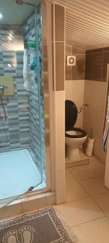 une salle de bain avec toilettes et douche en verre dans l'établissement Logement T2 Indépendant meublé RDC, à Saint-Avit-Saint-Nazaire