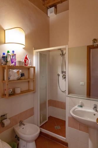 Nice apartment in San Frediano Area