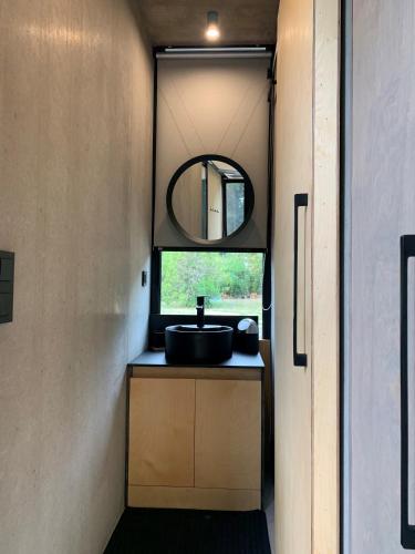 une salle de bain avec un lavabo et un miroir dans l'établissement aMiniMas Eco gîtes, à Le Garn