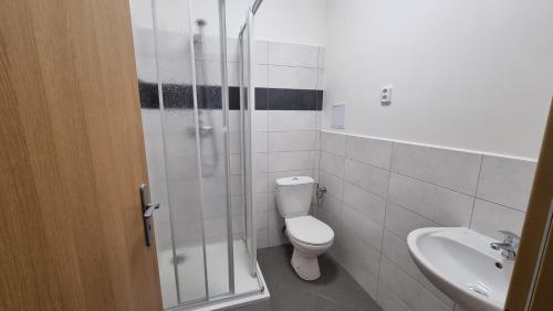 uma casa de banho com um WC, um chuveiro e um lavatório. em Hotel Rada em Ostrava