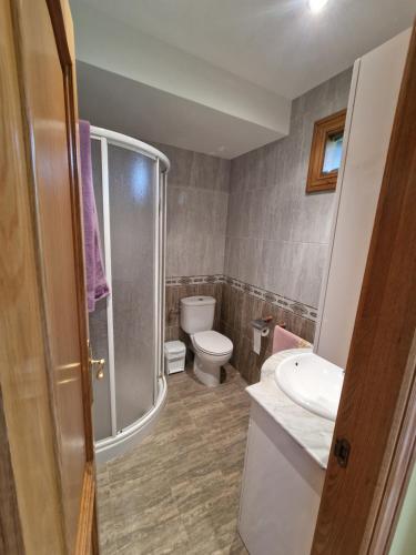 een badkamer met een toilet, een douche en een wastafel bij Lizuniaga in Bera