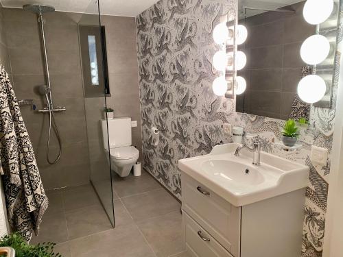La salle de bains est pourvue d'un lavabo, d'une douche et de toilettes. dans l'établissement Beautiful Chalet on the piste in Swiss Alps, à Alt Sankt Johann