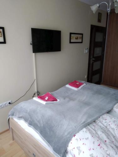 a bedroom with a bed with a flat screen tv on the wall at Szent Miklós Apartman in Hajdúszoboszló
