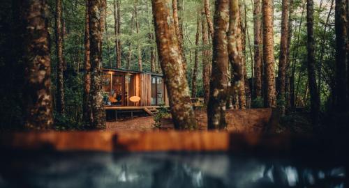 a cabin in the middle of a forest at OUTSCAPE l Refugios Puerto Fuy, Huilo Huilo in Puerto Fuy
