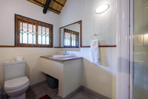 a bathroom with a toilet and a sink and a mirror at Kruger Park Lodge Unit No. 221 in Hazyview
