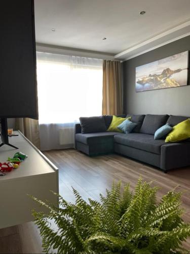 a living room with a couch and a plant at Jūras iela 21 in Limbaži