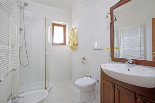 a bathroom with a sink and a toilet and a shower at Villa Aurata in Ližnjan (Haus für 8-9 Personen) in Ližnjan