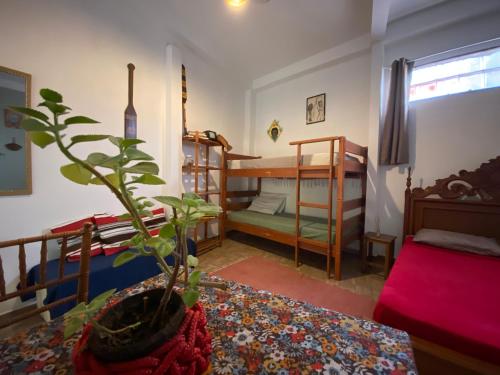 a room with two bunk beds and a potted plant at Casa Tribus Itamambuca in Ubatuba