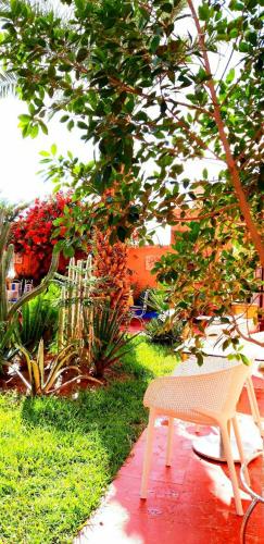 Jardín al aire libre en Riad Jasmine Sud