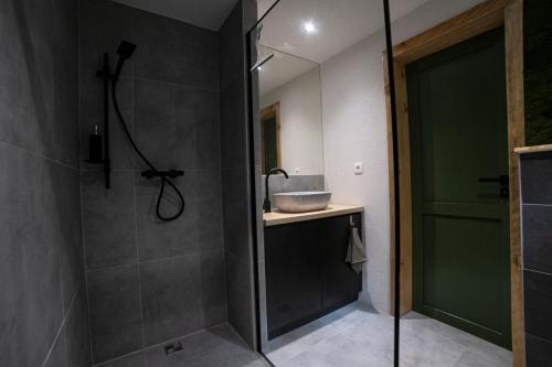 een badkamer met een douche, een wastafel en een glazen deur bij Panorama / TinyHouse in Podbrezová