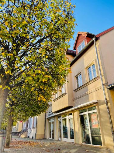 a building with a tree in front of it at Ferienwohnungen Anne in Schönebeck