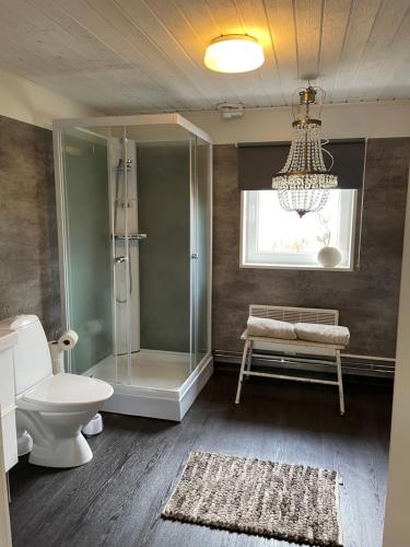 ein Badezimmer mit einer Dusche, einem WC und einem Kronleuchter in der Unterkunft Ruth & Iris Cottage in Nässjö