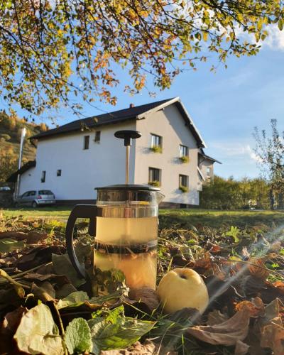 a blender sitting on the grass in a yard at RDT Guest House-Rai din Transilvania in Moieciu de Jos