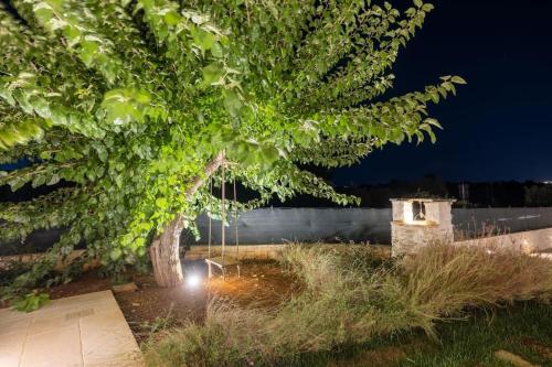 a light under a tree in a yard at night at Tenuta Traghetto in Ostuni