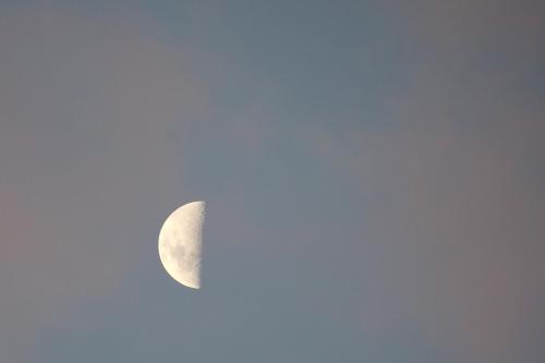 a half moon in the sky at Kruger Ranch in Magaliesburg