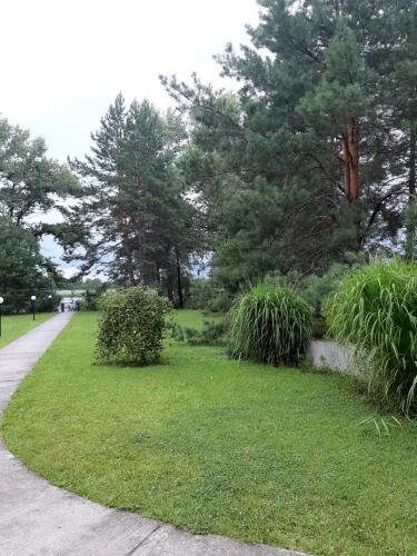 a park with green grass and trees and a sidewalk at Дом в лесу на берегу Днепра для отдыха, аппартоменты in Budishche