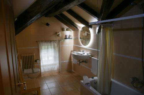 Hotel Rural Irigoienea في Urdax: حمام مع حوض ومرحاض