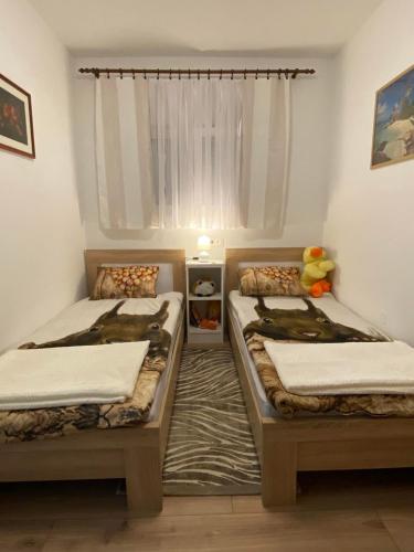 2 camas individuales en una habitación con ventana en Apartman NADA en Slavonski Brod
