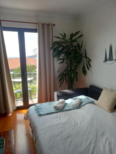 Amazing SEA LIGHT Apartment, close to the beach.