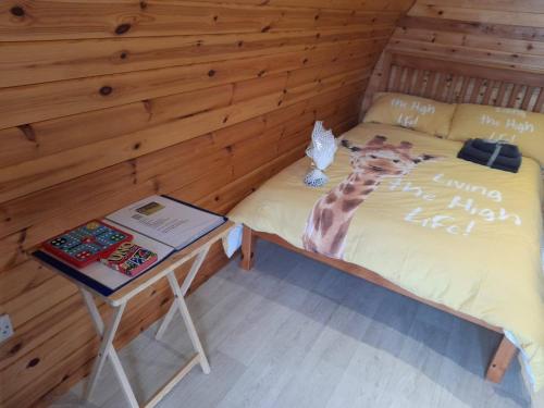 a room with a bed with a desk in it at Glamping Pod Thady Killynick County Fermanagh in Enniskillen