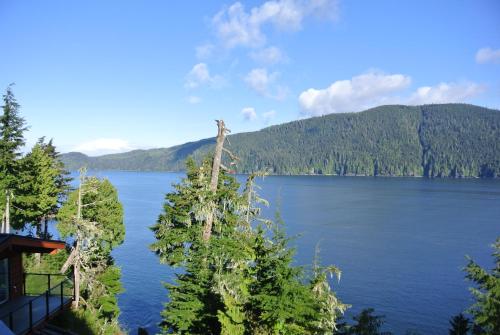 einen Blick auf einen See mit Bergen im Hintergrund in der Unterkunft Bjørn Holm in Port Renfrew