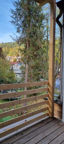 eine Veranda mit einem Zaun mit einem Baum darauf in der Unterkunft SM3 Apartment in Triberg