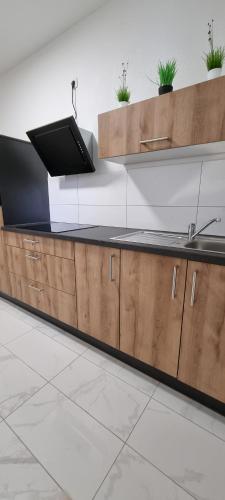 eine Küche mit Holzschränken und einem Waschbecken in der Unterkunft SM3 Apartment in Triberg