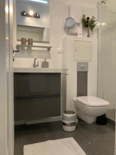 a bathroom with a toilet and a sink at Comfort-Apartment in Brilon