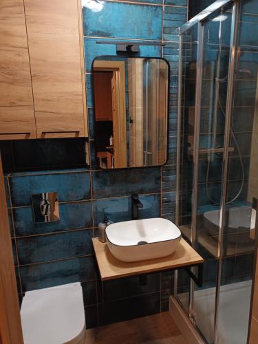 een badkamer met een wastafel en een spiegel bij Green apartament w Centrum in Warschau