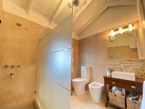 La salle de bains est pourvue de toilettes, d'un lavabo et d'un miroir. dans l'établissement Casa Le Martial, à Ushuaia