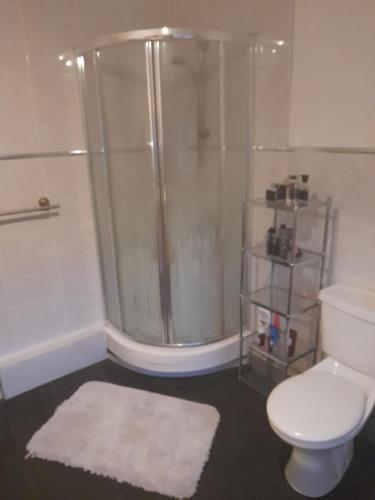 a bathroom with a shower and a toilet and a rug at Alwyn House in Liverpool