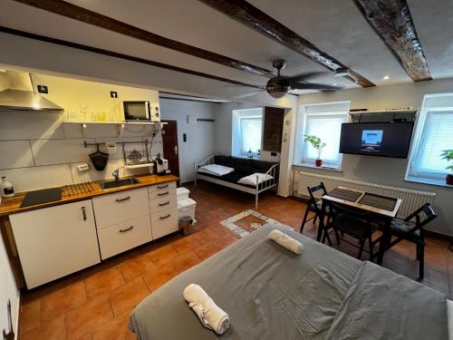 a kitchen and living room with a couch and a table at C&A Apartments in Kaiserslautern
