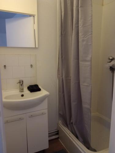 ein Bad mit einem Waschbecken und einem Duschvorhang in der Unterkunft Studio régence in Lüttich