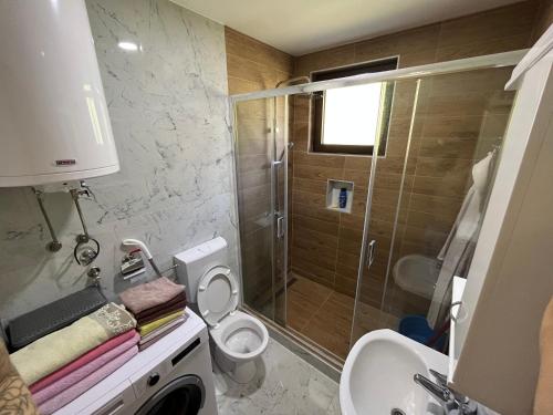 a bathroom with a shower and a toilet and a sink at Vila Mana in Ivanjica