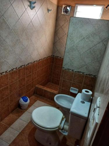 a bathroom with a toilet and a sink and a mirror at Pucará in Federación