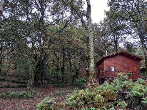 un edificio di mattoni rossi nel mezzo di una foresta di Veiga Mariña ad A Xesteira