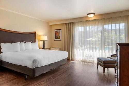 una camera d'albergo con un letto e una grande finestra di Best Western Plus Royal Oak Hotel a San Luis Obispo