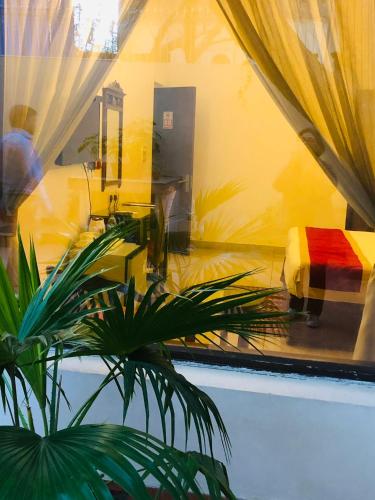 a reflection of a room in a window with a plant at The Neem in New Delhi