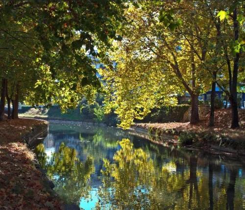 Paesaggio naturale nelle vicinanze della villa