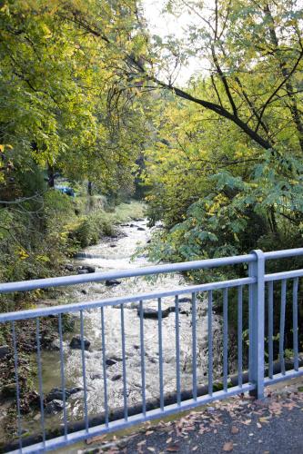 a bridge over a river with trees and a river at Appartamento con giardino e parcheggio privato in Bellagio